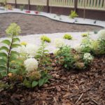 realizacje realizacja projekt ogrodu 2018