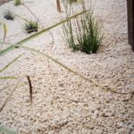 realizacje projetowanie rośliny klomb rabata kolorowe ogrody