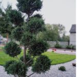 realizacje rabata żwirowa