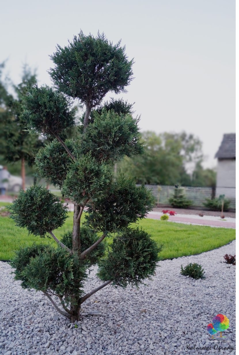 realizacje rabata żwirowa